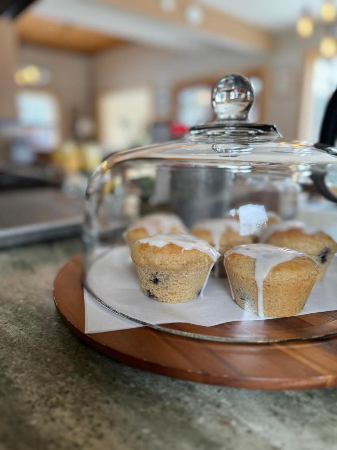 Bear Lake Lodgings B&B, Inc Seward Buitenkant foto