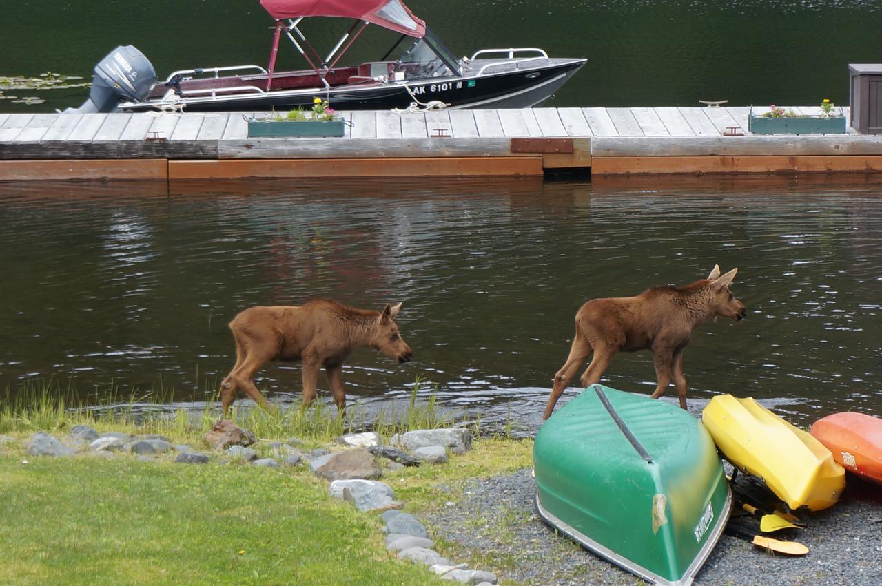 Bear Lake Lodgings B&B Seward Buitenkant foto